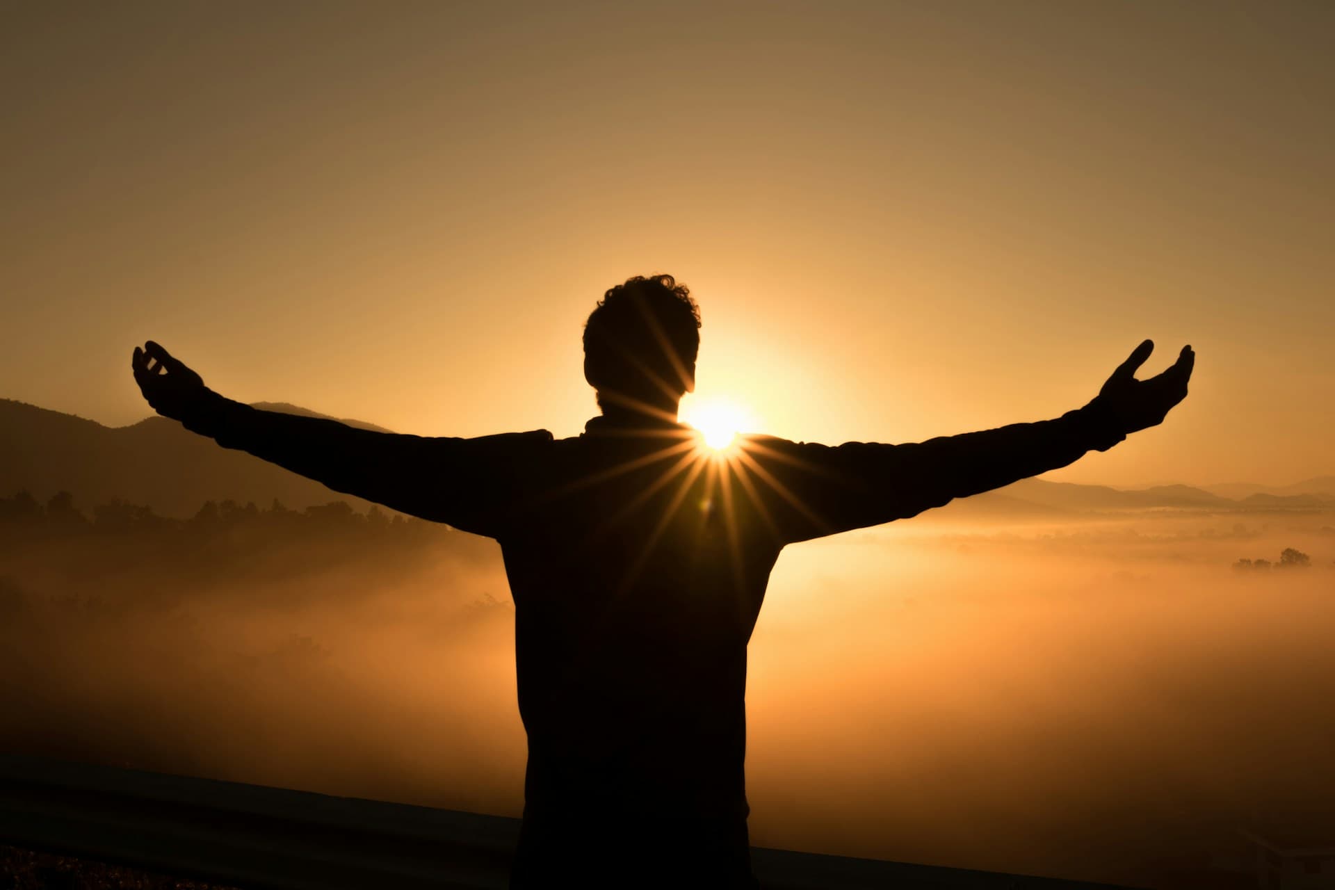 Rise Like a Phoenix